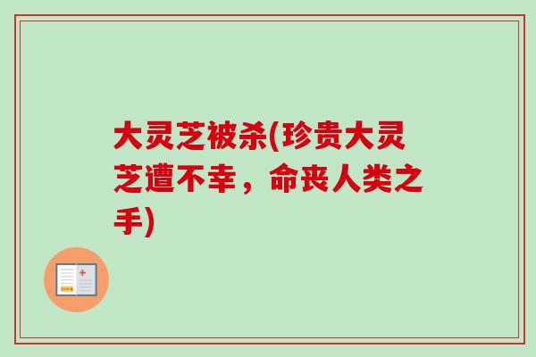 大灵芝被杀(珍贵大灵芝遭不幸，命丧人类之手)
