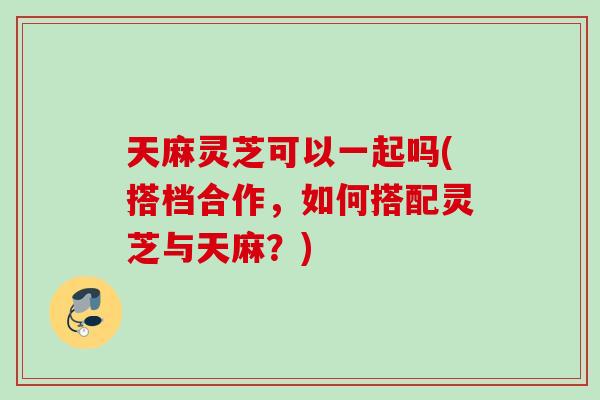 天麻灵芝可以一起吗(搭档合作,如何搭配灵芝与天麻?) 天麻灵芝可以一起吗(搭档合作,如何搭配灵芝与天麻?)