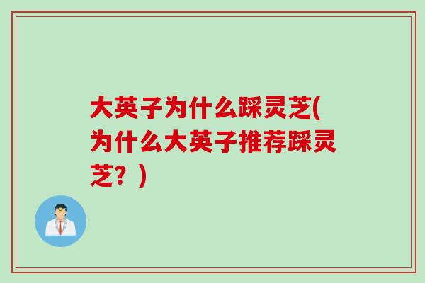 大英子为什么踩灵芝(为什么大英子推荐踩灵芝？)