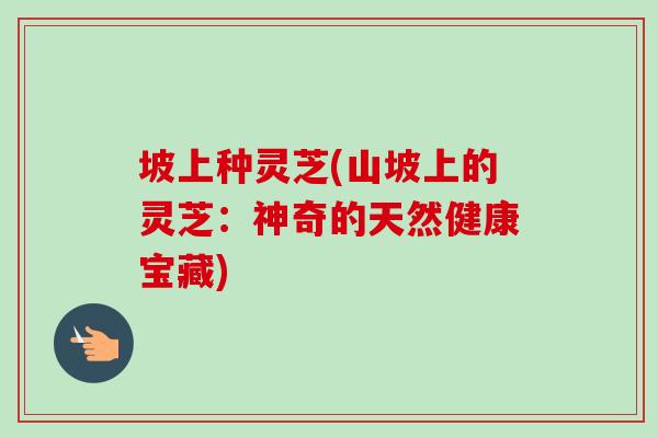 坡上种灵芝(山坡上的灵芝：神奇的天然健康宝藏)