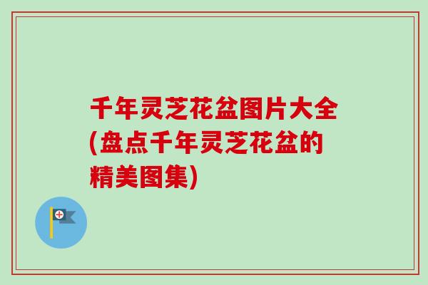 千年灵芝花盆图片大全(盘点千年灵芝花盆的精美图集)