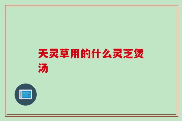 天灵草用的什么灵芝煲汤