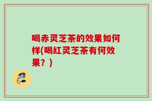 喝赤灵芝茶的效果如何样(喝红灵芝茶有何效果？)