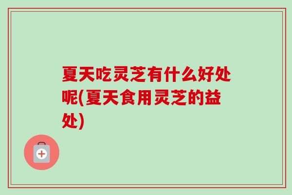 夏天吃灵芝有什么好处呢(夏天食用灵芝的益处)