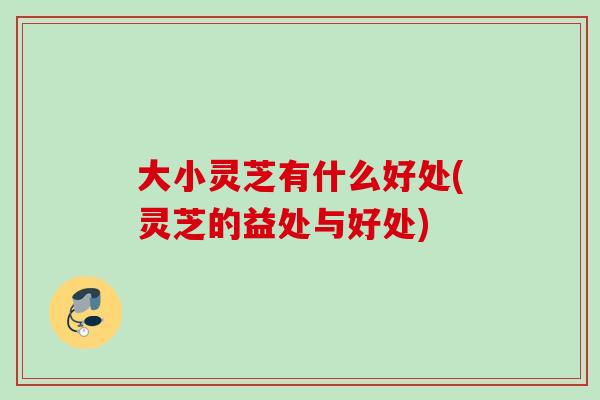 大小灵芝有什么好处(灵芝的益处与好处)