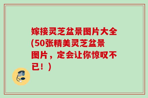 嫁接灵芝盆景图片大全(50张精美灵芝盆景图片，定会让你惊叹不已！)