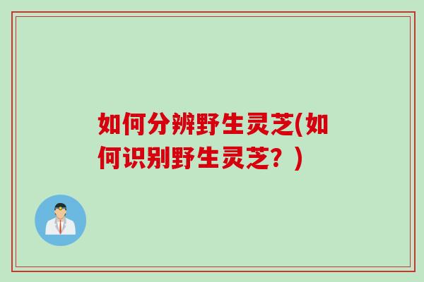 如何分辨野生灵芝(如何识别野生灵芝？)