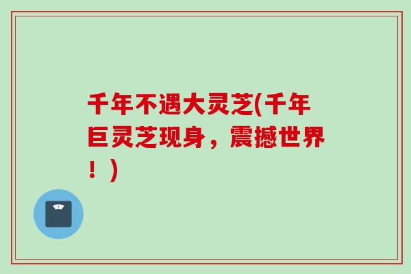 千年不遇大灵芝(千年巨灵芝现身,震撼世界!) 千年不遇大灵芝(千年巨灵芝现身,震撼世界!)