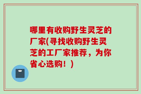 哪里有收购野生灵芝的厂家(寻找收购野生灵芝的工厂家推荐,为你省心选购!) 哪里有收购野生灵芝的厂家(寻找收购野生灵芝的工厂家推荐,为你省心选购!)