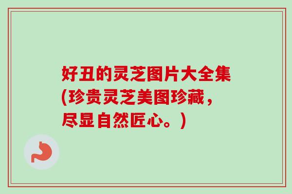 好丑的灵芝图片大全集(珍贵灵芝美图珍藏，尽显自然匠心。)