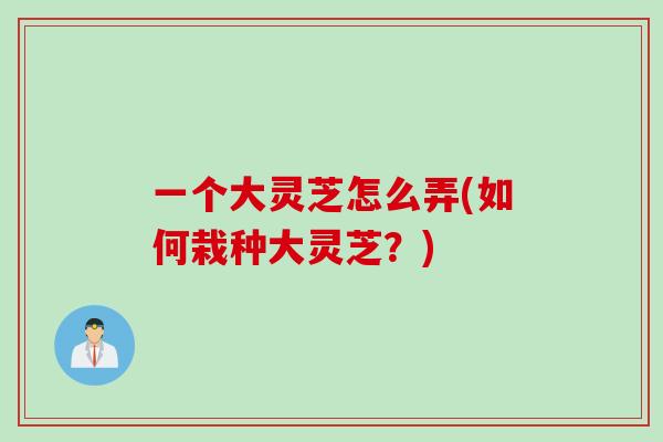 一个大灵芝怎么弄(如何栽种大灵芝？)