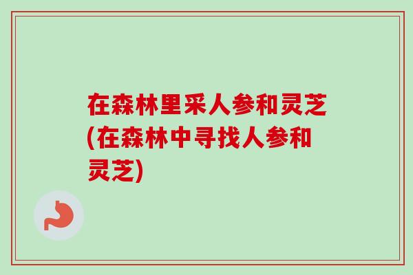 在森林里采人参和灵芝(在森林中寻找人参和灵芝)