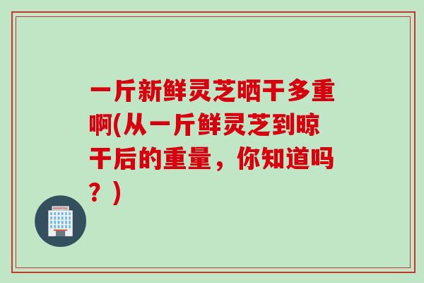 一斤新鲜灵芝晒干多重啊(从一斤鲜灵芝到晾干后的重量，你知道吗？)