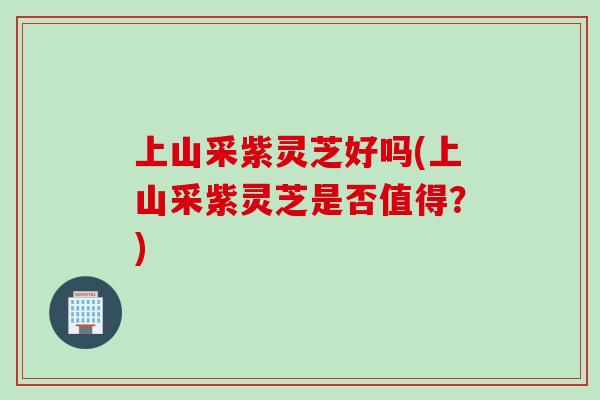 上山采紫灵芝好吗(上山采紫灵芝是否值得？)