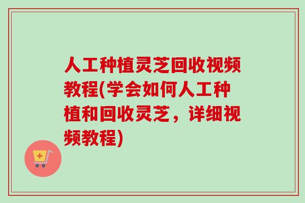 人工种植灵芝回收视频教程(学会如何人工种植和回收灵芝,详细视频教程) 人工种植灵芝回收视频教程(学会如何人工种植和回收灵芝,详细视频教程)