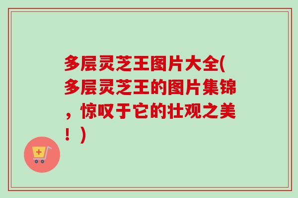 多层灵芝王图片大全(多层灵芝王的图片集锦，惊叹于它的壮观之美！)