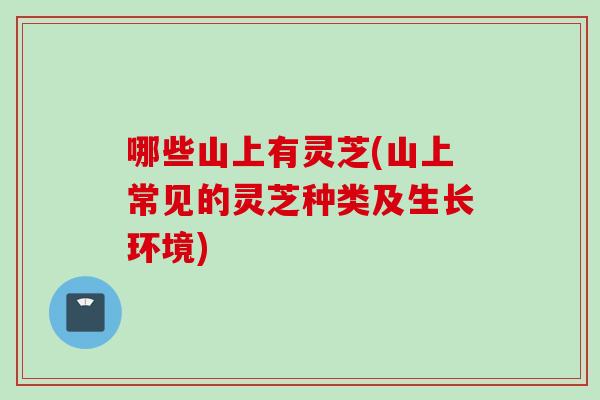 哪些山上有灵芝(山上常见的灵芝种类及生长环境)