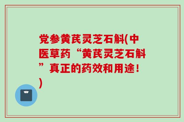 党参黄芪灵芝石斛(中医草药“黄芪灵芝石斛”真正的药效和用途！)