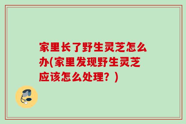 家里长了野生灵芝怎么办(家里发现野生灵芝应该怎么处理？)