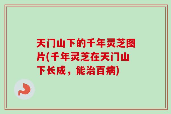 天门山下的千年灵芝图片(千年灵芝在天门山下长成,能百) 天门山下的千年灵芝图片(千年灵芝在天门山下长成,能百)