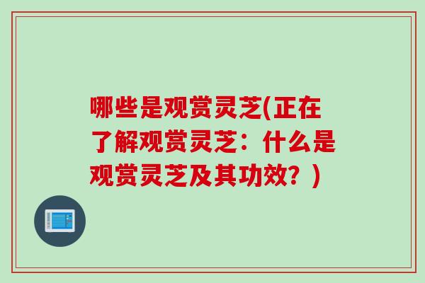 哪些是观赏灵芝(正在了解观赏灵芝：什么是观赏灵芝及其功效？)