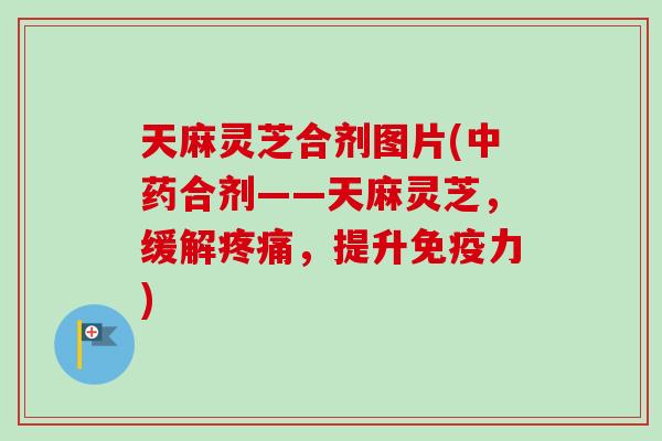 天麻灵芝合剂图片(中药合剂——天麻灵芝，缓解疼痛，提升免疫力)