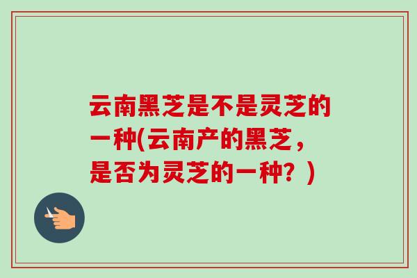 云南黑芝是不是灵芝的一种(云南产的黑芝，是否为灵芝的一种？)