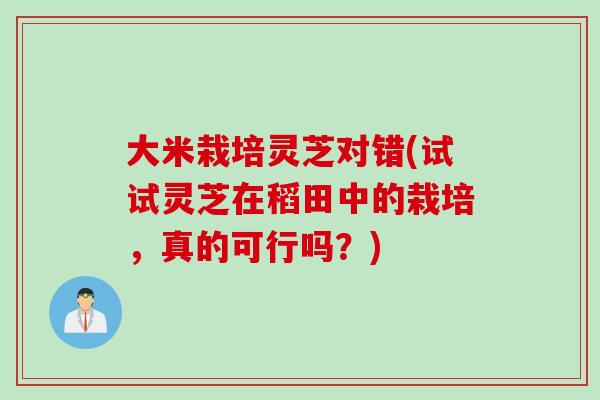 大米栽培灵芝对错(试试灵芝在稻田中的栽培，真的可行吗？)
