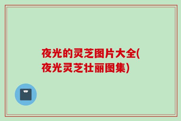 夜光的灵芝图片大全(夜光灵芝壮丽图集)