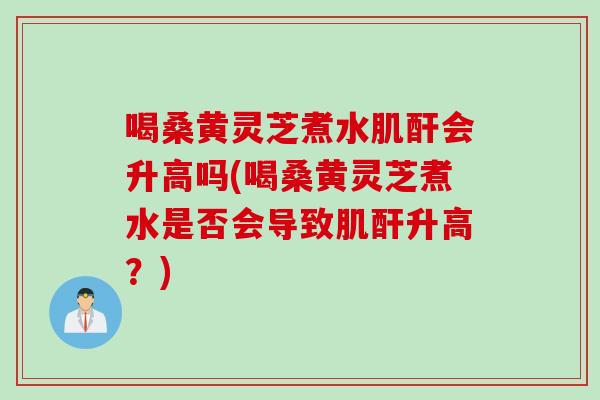 喝桑黄灵芝煮水肌酐会升高吗(喝桑黄灵芝煮水是否会导致肌酐升高？)