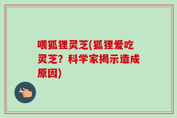 喂狐狸灵芝(狐狸爱吃灵芝？科学家揭示造成原因)