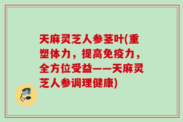 天麻灵芝人参茎叶(重塑体力，提高免疫力，全方位受益——天麻灵芝人参调理健康)