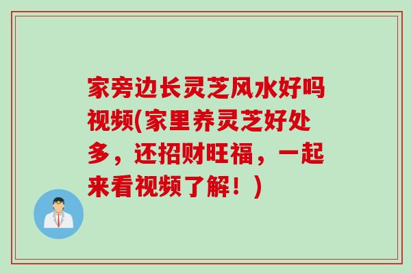 家旁边长灵芝风水好吗视频(家里养灵芝好处多，还招财旺福，一起来看视频了解！)