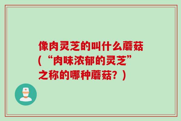 像肉灵芝的叫什么蘑菇(“肉味浓郁的灵芝”之称的哪种蘑菇？)