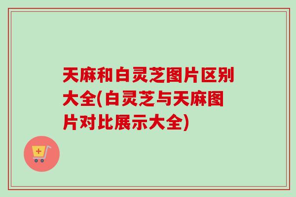 天麻和白灵芝图片区别大全(白灵芝与天麻图片对比展示大全)
