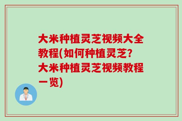 大米种植灵芝视频大全教程(如何种植灵芝？大米种植灵芝视频教程一览)