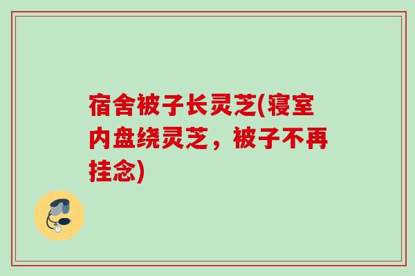 宿舍被子长灵芝(寝室内盘绕灵芝，被子不再挂念)