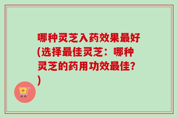 哪种灵芝入药效果最好(选择最佳灵芝：哪种灵芝的药用功效最佳？)