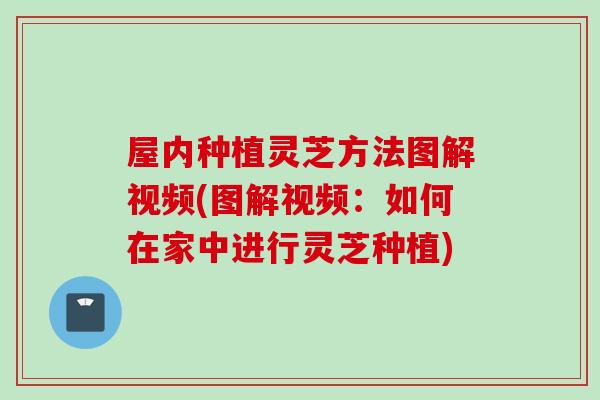 屋内种植灵芝方法图解视频(图解视频：如何在家中进行灵芝种植)
