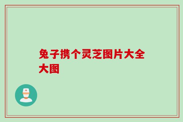 兔子携个灵芝图片大全大图