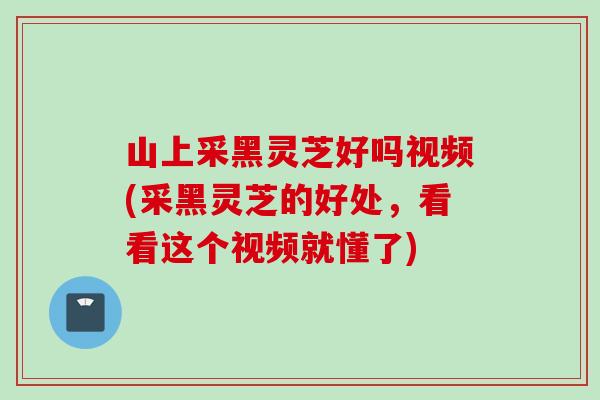 山上采黑灵芝好吗视频(采黑灵芝的好处，看看这个视频就懂了)