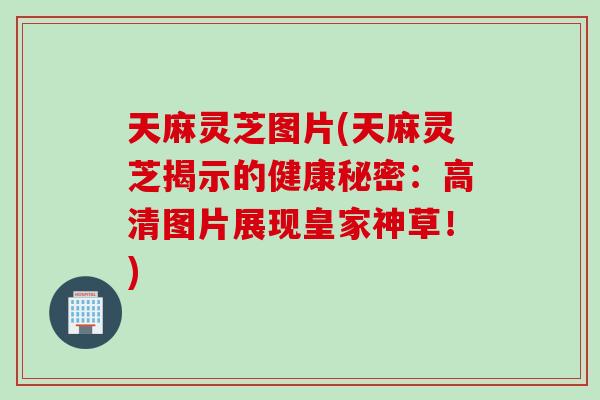 天麻灵芝图片(天麻灵芝揭示的健康秘密：高清图片展现皇家神草！)