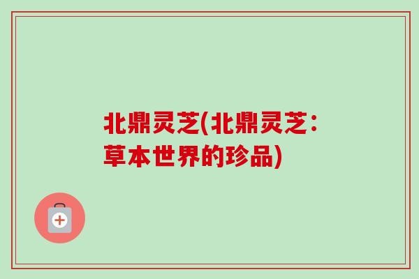 北鼎灵芝(北鼎灵芝：草本世界的珍品)