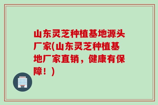 山东灵芝种植基地源头厂家(山东灵芝种植基地厂家直销，健康有保障！)