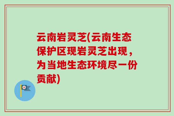 云南岩灵芝(云南生态保护区现岩灵芝出现，为当地生态环境尽一份贡献)