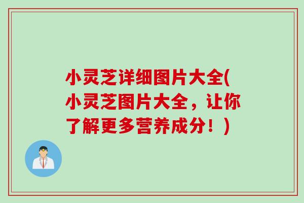 小灵芝详细图片大全(小灵芝图片大全，让你了解更多营养成分！)