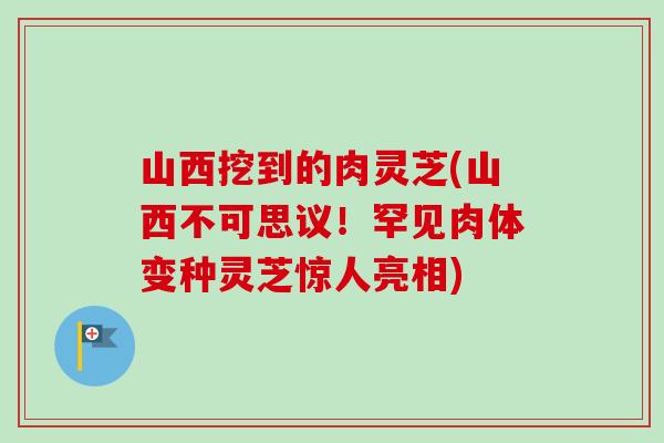 山西挖到的肉灵芝(山西不可思议！罕见肉体变种灵芝惊人亮相)