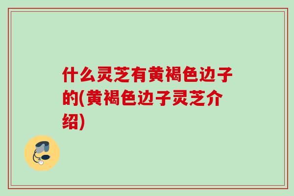什么灵芝有黄褐色边子的(黄褐色边子灵芝介绍) 什么灵芝有黄褐色边子的(黄褐色边子灵芝介绍)