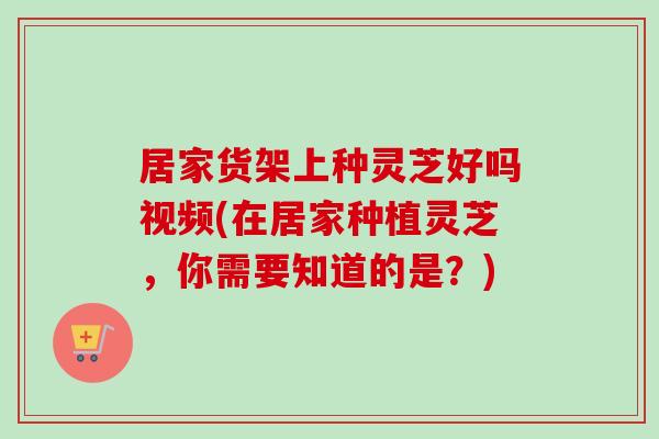 居家货架上种灵芝好吗视频(在居家种植灵芝，你需要知道的是？)