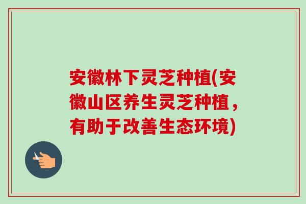 安徽林下灵芝种植(安徽山区养生灵芝种植,有助于改善生态环境) 安徽林下灵芝种植(安徽山区养生灵芝种植,有助于改善生态环境)